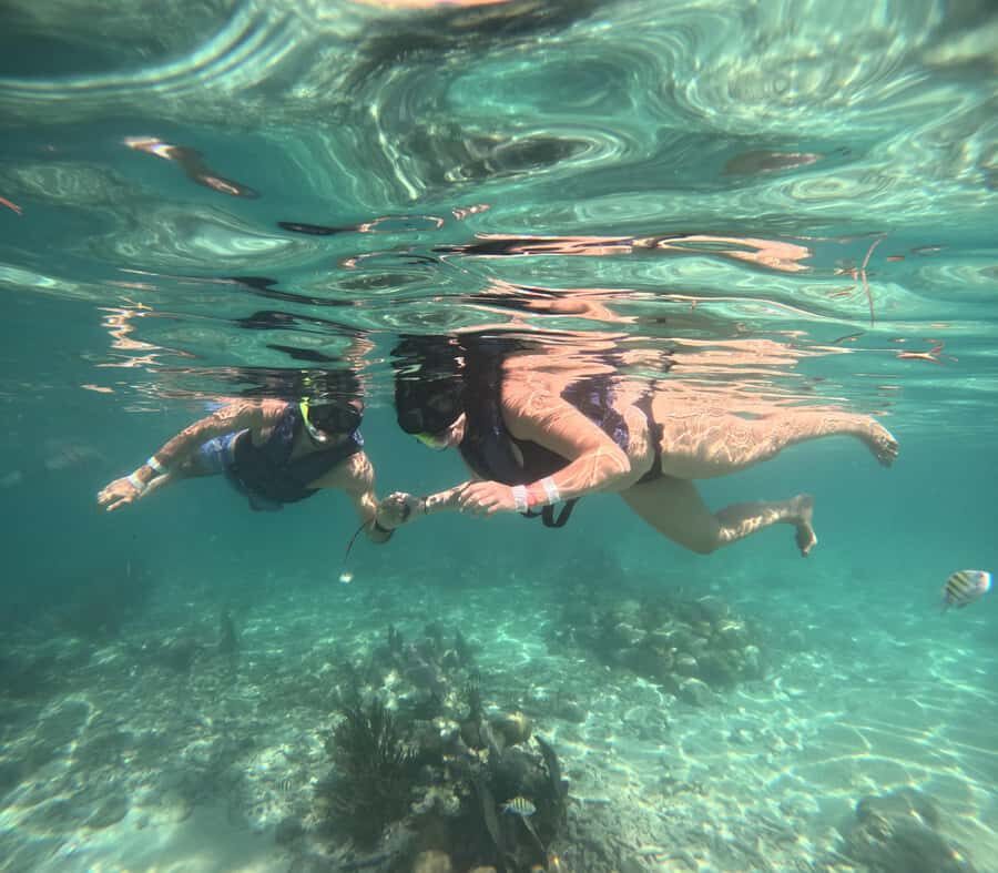 Akumal: Swim with Sea Turtles and Coral Reefs. - Walking Into Tsuuk Akumal Natural Park