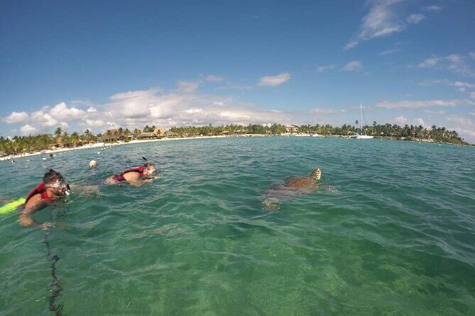 Akumal turtles sanctuary and go pro photos - The Simple Plan: Swim Out From Shore to the Seagrass Turtle Zone
