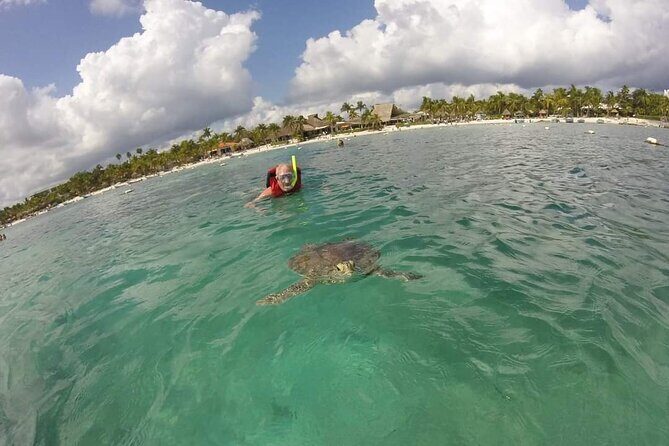 Akumal turtles sanctuary and go pro photos - Photo Shoot and GoPro-Style Shots: Getting Your Memories While You Snorkel