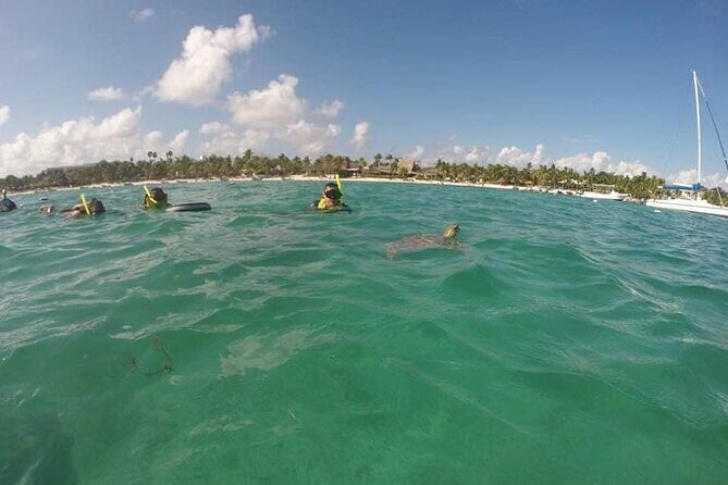 Akumal turtles sanctuary and go pro photos - On Land Afterward: Stay on the Beach and Rinse Off