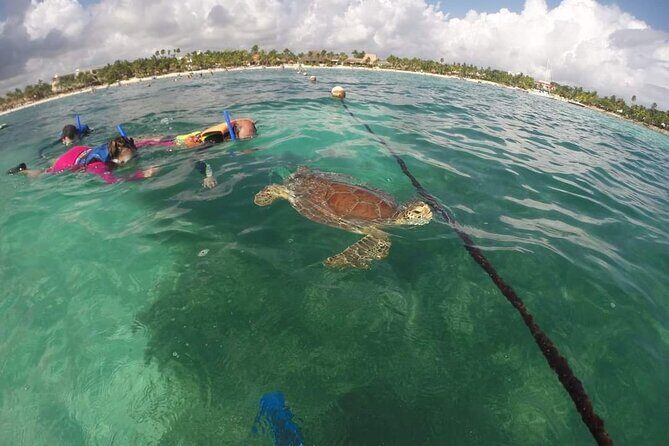 Akumal turtles sanctuary and go pro photos - Price and Value: What $40 Really Buys You (and What Else You’ll Need)