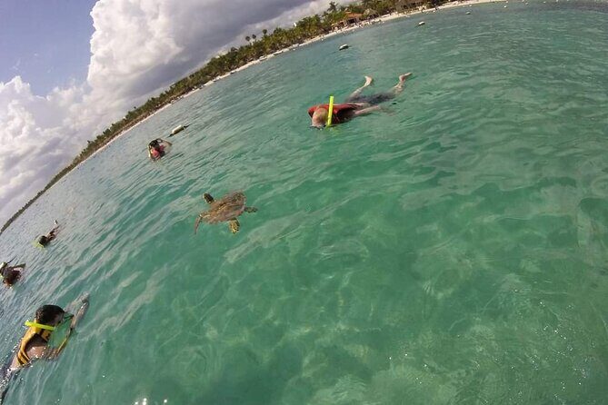 Akumal turtles sanctuary and go pro photos - Guides and Service Style: Why Names Like Pepe and Angel Keep Coming Up