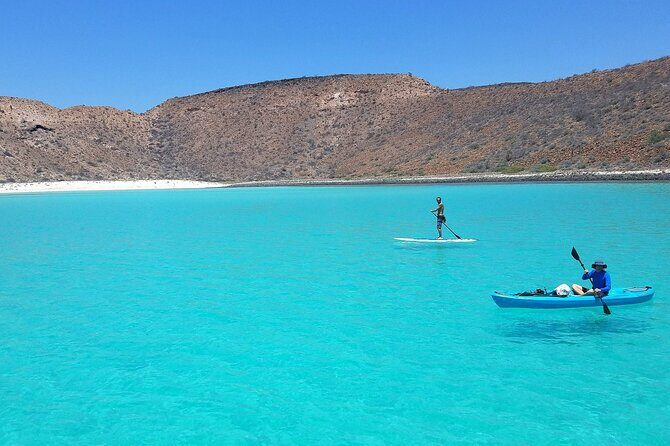 All-Inclusive catamaran Espiritu Santo Island Tour from Los Cabos - Isla Espiritu Santo: 5 Hours of Shore Time and Real Choices