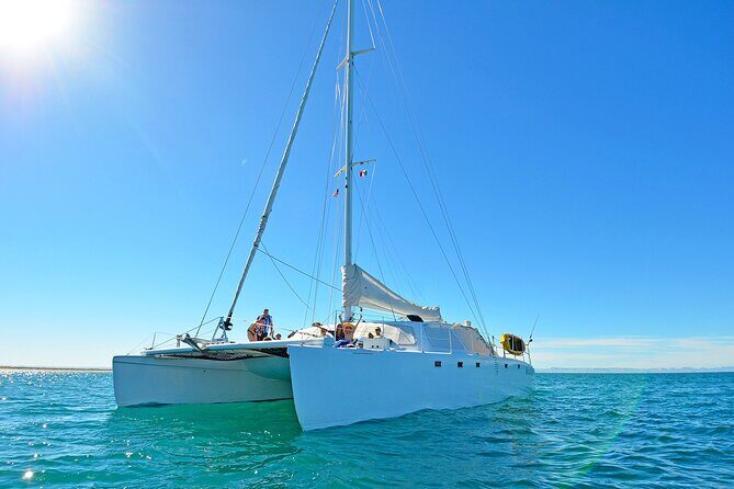 All-Inclusive catamaran Espiritu Santo Island Tour from Los Cabos - Open Bar and Onboard Service: Fun, But Still Practical