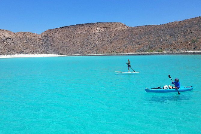 All-Inclusive Catamaran Tour | Beaches & Sea Lions from Los Cabos - Kayaks and Paddleboards: Choice Time That Helps Families and Non-Swimmers
