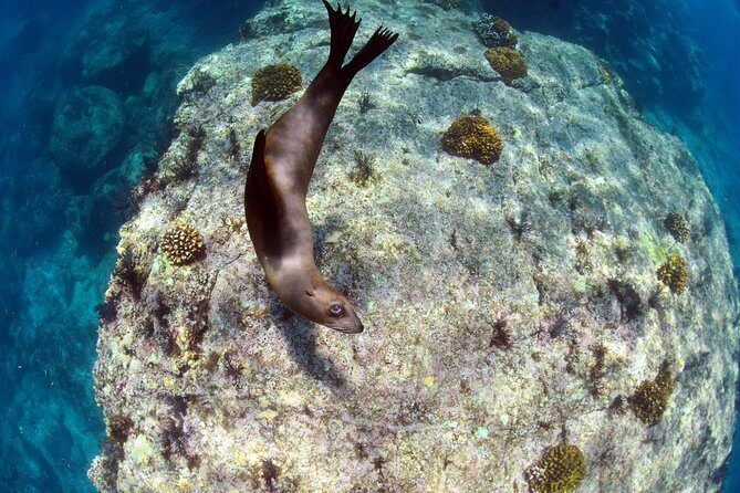 All-Inclusive Catamaran Tour | Beaches & Sea Lions from Los Cabos - What the Crew Actually Does (and Why That Improves Your Day)