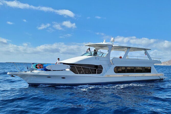 All Inclusive HUGE 75ft Yacht Up to 50 Guests Early Bird Promo - Your pick-your-own water time: snorkeling, paddle boards, fishing, whale watching