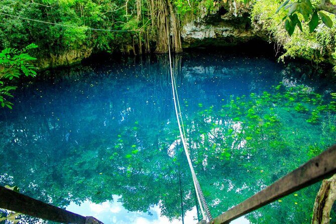 Amazing ATV Tour, Ziplines and Cenote Swim with Lunch and round trip included - Zipline Circuit Over the Trees: Safety Gear, Weight Limit, and Pace