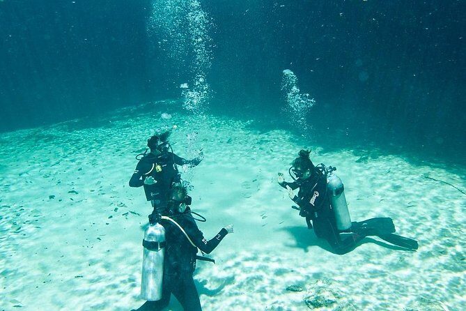 Amazing beginner dive in Tulum cenote (or refresher dive) - Beginner Scuba Skills at La Calypso Center Before Casa Cenote