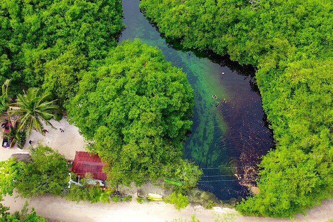 Amazing beginner dive in Tulum cenote (or refresher dive) - Price and Value: Is $140 a Fair Deal?