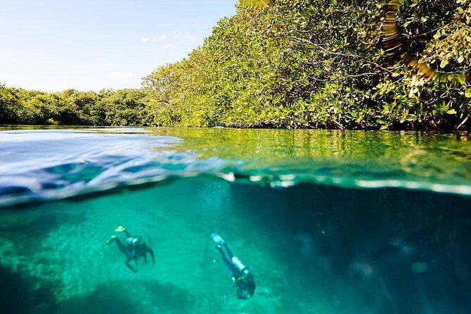 Amazing beginner dive in Tulum cenote (or refresher dive) - Who This Tulum Cenote Session Fits Best