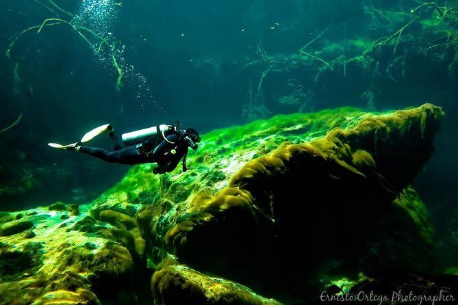 Amazing beginner dive in Tulum cenote (or refresher dive) - FAQ