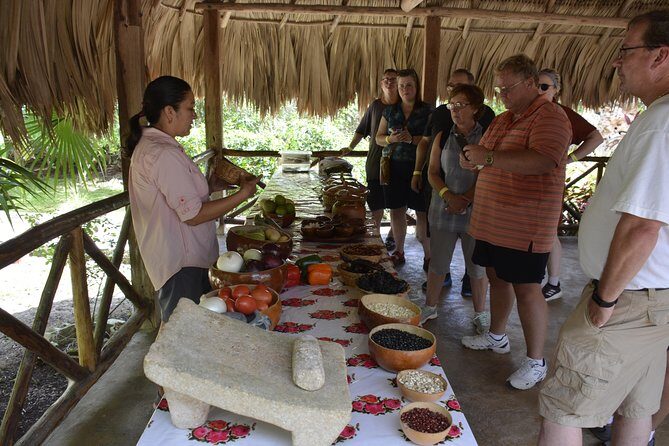 Ancient Chacchoben Mayan Ruins & Mayan Experience from Costa Maya - The Guides and Drivers: What Makes the Day Flow