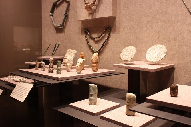 Anthropology Museum Early Access Tour - How the guided route works inside the museum