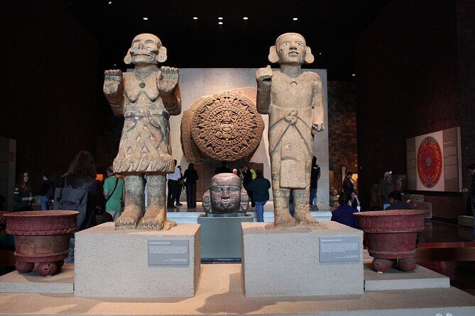 Anthropology Museum Early Access Tour - Is this tour for you? Best matches and smart fit