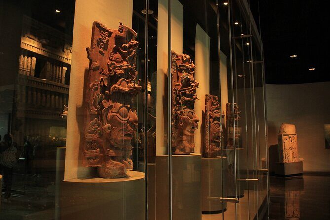 Anthropology Museum Early Access Tour - Meeting point and start time: where to show up at 8:50am