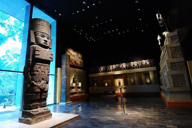 Anthropology Museum Ticket with Digital Guide included - Entering the museum: your best start plan