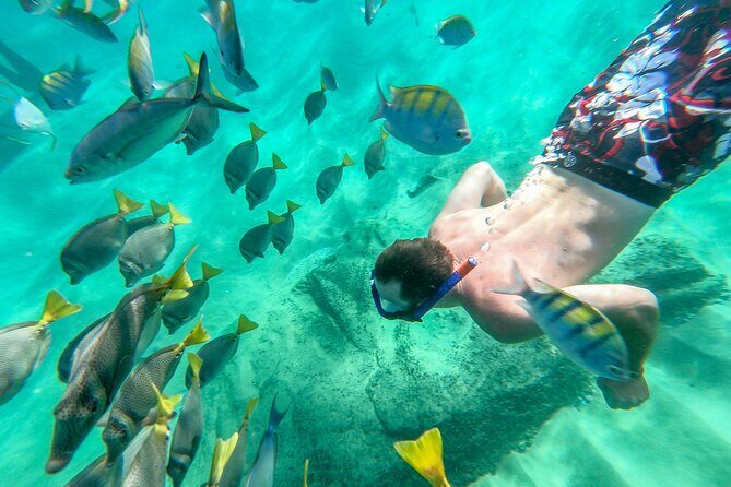 Arch Views & Snorkeling Paradise at Chileno Beach Private tour - Stop 2: Cabo San Lucas tequila tasting and quick shopping