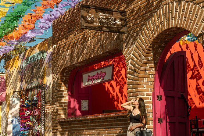 Art and Wine Evening City tour in San Jose del Cabo for Adults - Key Highlights I Think You’ll Care About