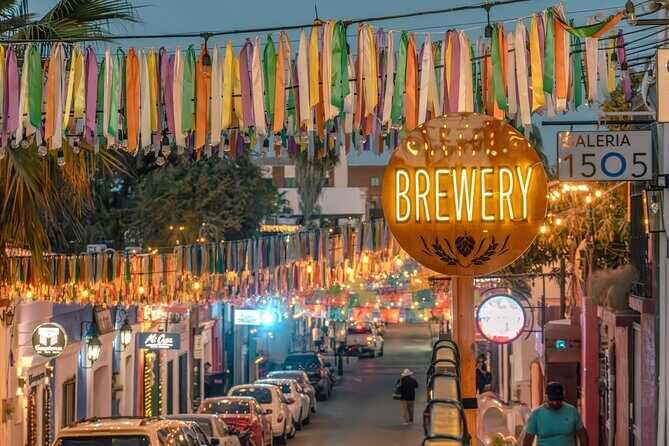 Art and Wine Evening City tour in San Jose del Cabo for Adults - Price and Value: Is $119 Worth It for This Mix?