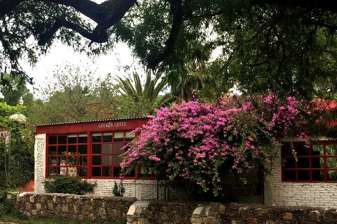 Arts and Snacks Walking Tour with Taste of San Miguel - Should you book Taste of San Miguel’s Arts and Snacks tour?