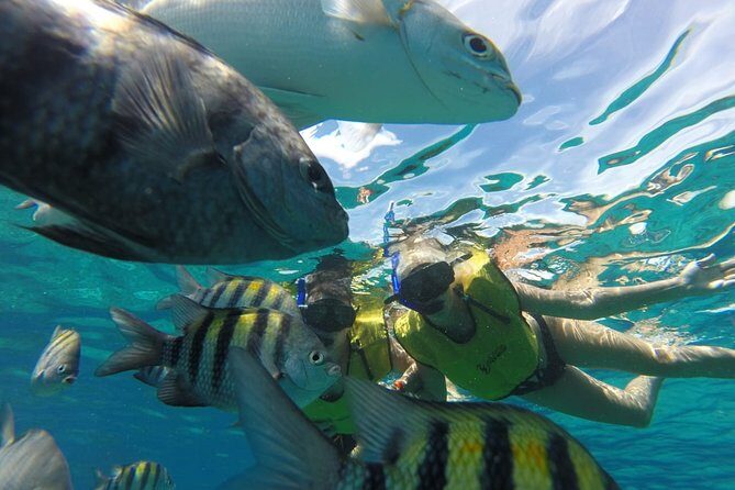 ATV Mud Kicking and Snorkeling by Boat in Cozumel - Price and value: $99.99 plus what you must budget for