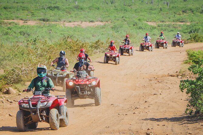 ATV Single in Cabo San Lucas /2 Hours/ migriño beach and desert - The Tequila Museum Stop: Quick Tasting, Easy Add-On