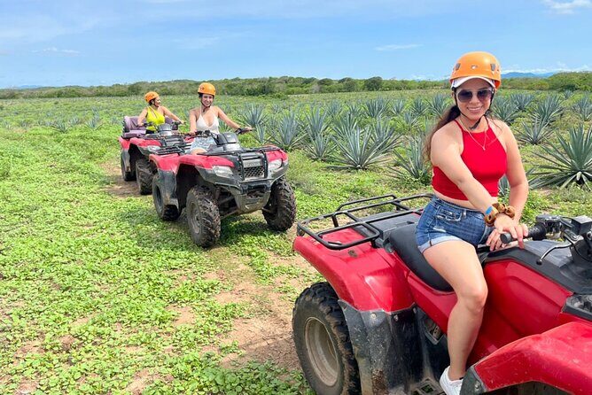 ATV Tour and Mazatlan City Tour - Mezcal and tequila tasting: what to look for if you like agave drinks