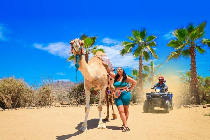 ATV Tour, Camel Ride, Tequila Tasting and Mexican Buffet Lunch - Key things to know before you book