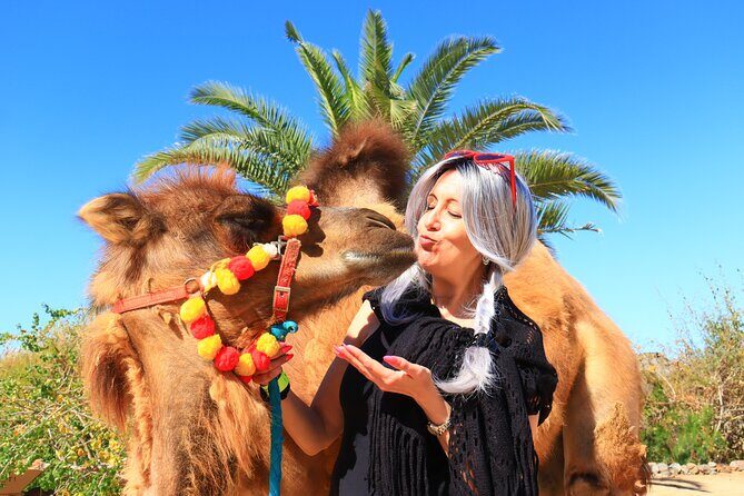 ATV Tour, Camel Ride, Tequila Tasting and Mexican Buffet Lunch - Lunch by the Sea of Cortez: tequila tasting and Mexican buffet reality