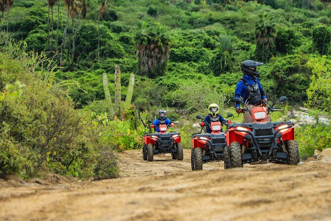 ATVs, UTVs, and Camel Ride in All Access Adventure Park and Beach - Families thrive here: Kids Adventure park and farm animals