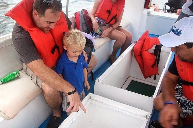 Authentic Cabo San Lucas Tour - Glass-Bottom Boat to El Arco, Sea Lions, and Pelican Rock