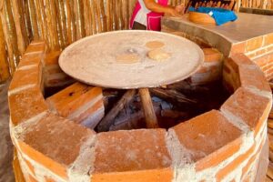 Authentic Cozumel Island Tour - Best Sights & Mayan Experience - Playa Pública San Martín: calmer east-coast beach breaks