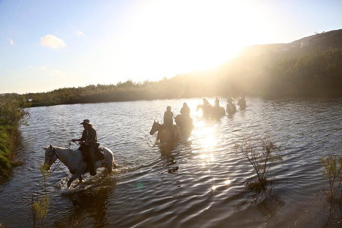 Authentic horseback riding in beautiful La Mision - The La Mision estuary ride: birds, calm water edges, and photo chances