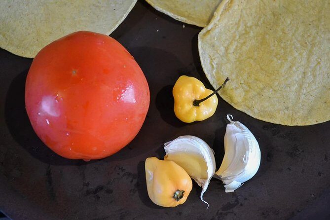 Authentic Mexican Cooking Class in Playa del Carmen - Inside Isa’s Home Kitchen: How the Class Feels in Real Time