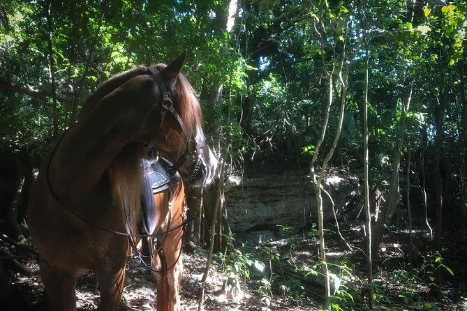Award-winning Classic Horseback Ride (max. 6 riders) - Why Rancho Baaxal’s max-6 format makes riding easier