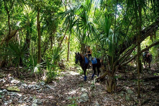 Award-winning Classic Horseback Ride (max. 6 riders) - The trail experience: narrow jungle paths, wider sections, and a midway stop