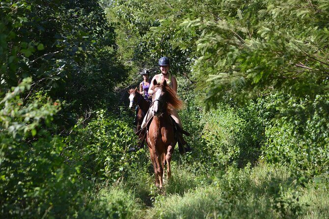 Award-winning Private Classic Horseback Ride - Punta Sam ranch time: how the ride fits your day