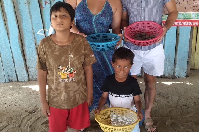 Baby Sea Turtle Releasing Sightseeing Tour with Luis de la Maza - Group Size, Timing, and the Reality Check on Comfort