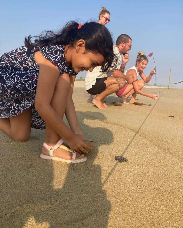 Baby Sea turtles release in Puerto Escondido - Palmarito Beach and the conservation mission you’re actually supporting