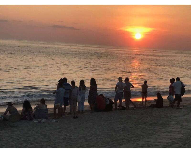 Baby Sea turtles release in Puerto Escondido - Walking the beach and wildlife viewing: what the 1.5 hours is for