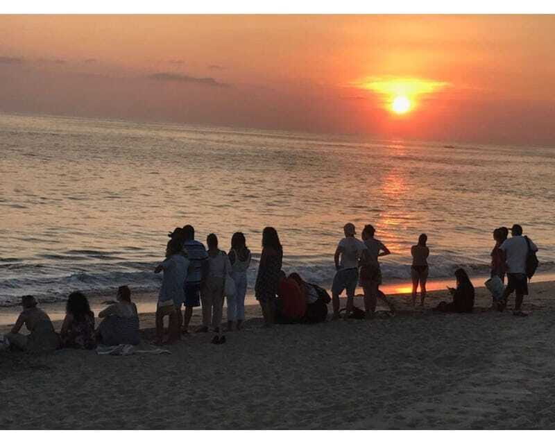Baby Sea turtles release in Puerto Escondido - Transportation and drop-offs: convenient, but plan for timing
