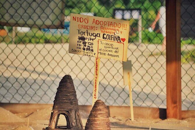 Baby Turtle Release Tour + Pick up + Courtesy in Puerto Escondido! - Timing realities: weather, same-day notice, and short scheduling