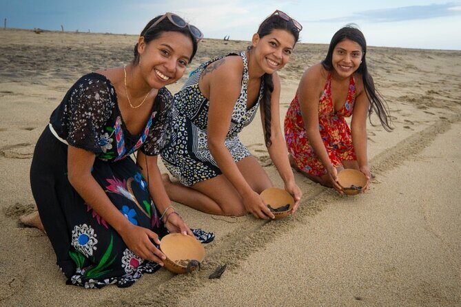 Baby Turtle Release Tour + Pick up + Courtesy in Puerto Escondido! - Price and logistics: what your $100 includes (and why it’s not just a ticket)