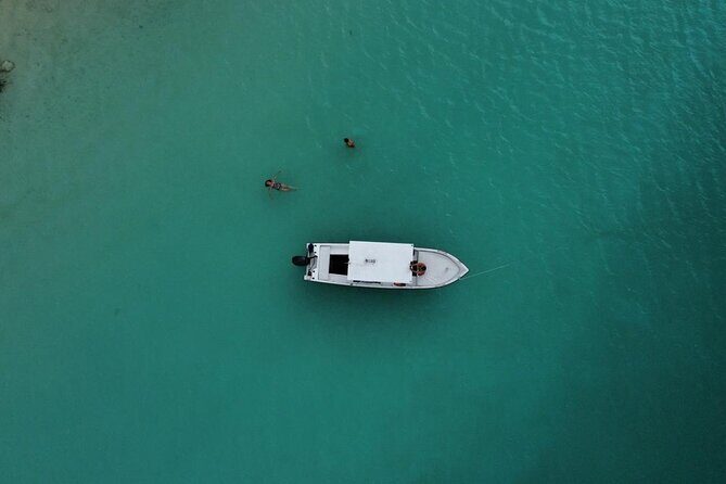 Bacalar Boat Tour and Visit to Cenotes - Beach Club Time and Kayak Options After You Return
