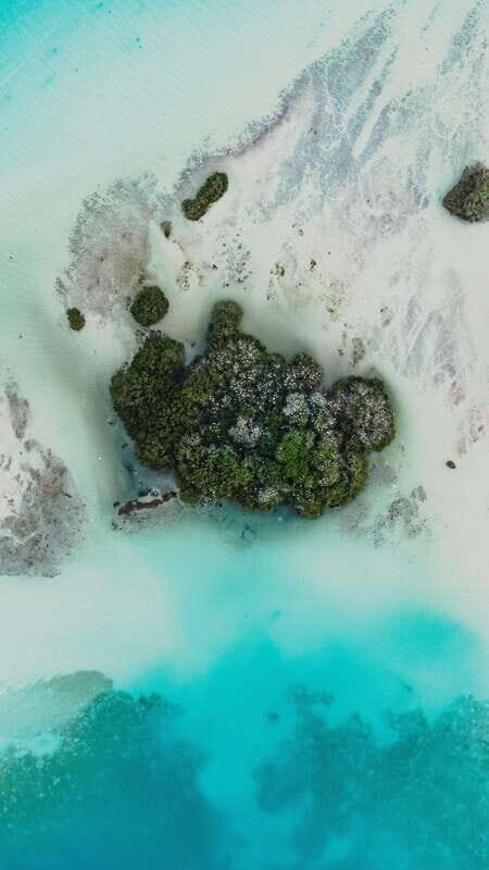 Bacalar & Cenotes: 3 hours kayak rental with snorkeling gear - Snorkeling gear + safety kit: what’s provided and how to plan your swim time