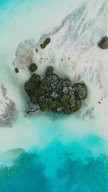 Bacalar & Cenotes: 3 hours kayak rental with snorkeling gear - Should you book this Bacalar kayak rental?