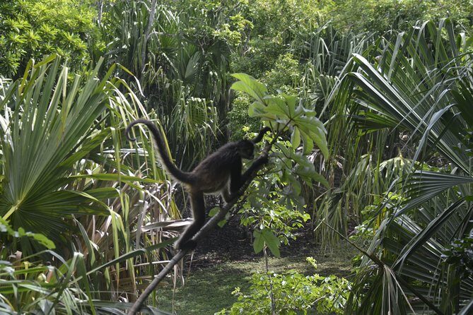 Bacalar Lagoon & Chacchoben Mayan Ruins from Costa Maya - What to Bring (So the Day Feels Easy)