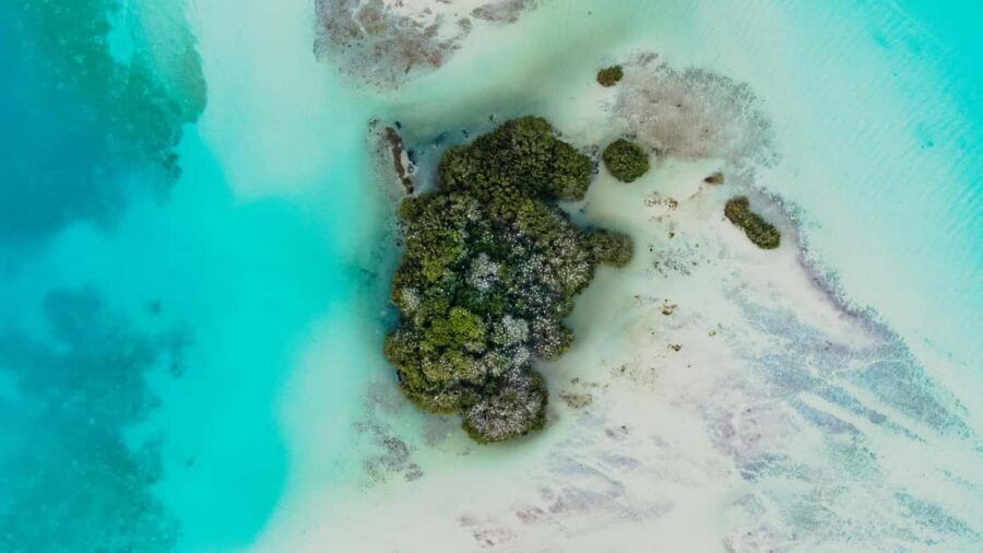 Bacalar Lagoon Sailing Tour with Open Bar and Mexican Lunch - Bird Island and the abandoned hotel: scenery with contrast