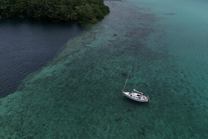 Bacalar Lagoon Tour Open Bar With Pick Up - Stop 4: Isla de los Pájaros and bird watching that feels alive